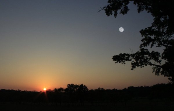 Солнце и Луна вместе на небе