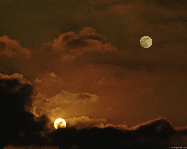 Луна и солнце одновременно