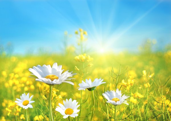 Природа улыбается