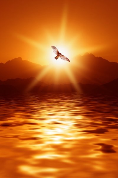 Орел над солнцем фен шуй