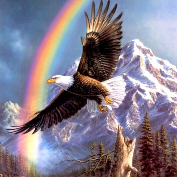 Орел в лучах солнца