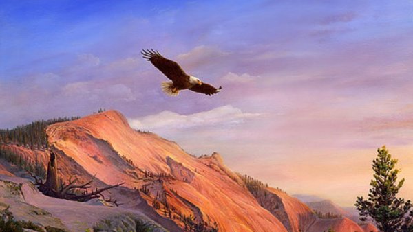 Русский Орел в небе