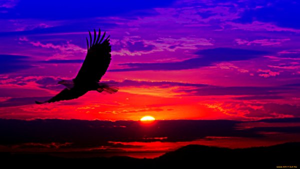 Rudi Reichardt художник