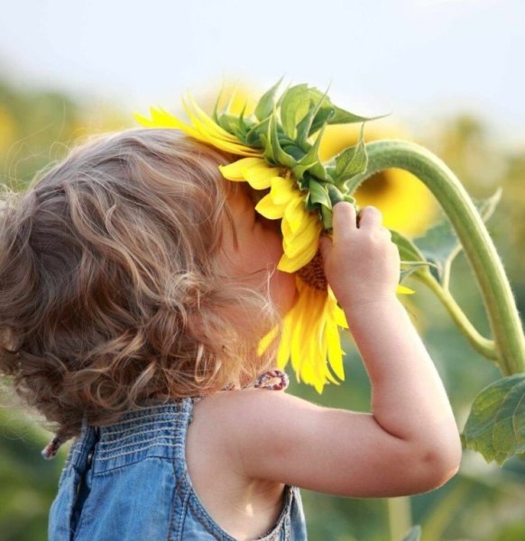 Солнечные пожелания