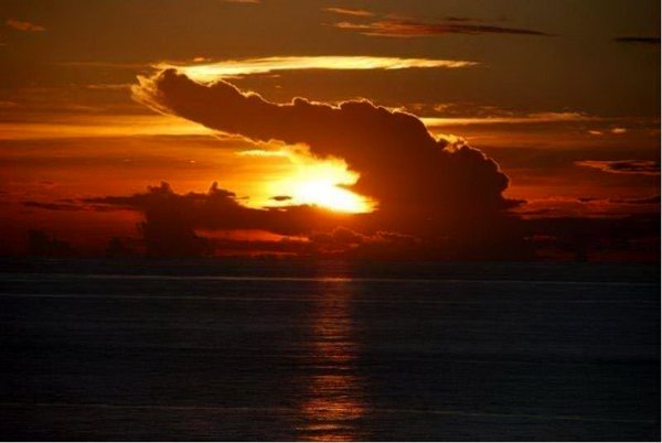 Чуковский корней "краденое солнце"