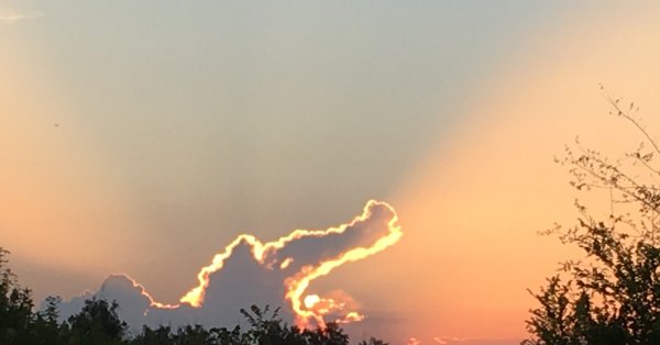 Крокодил солнце проглотил Чуковский