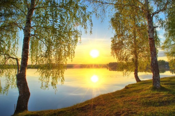 Сияет солнце воды блещут Тютчев