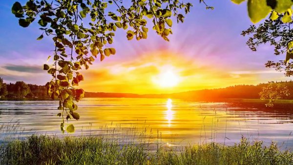 Пейзаж в теплых тонах