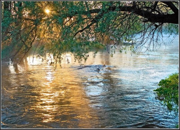 Открытка пусть в твоих глазах всегда сияет счастья