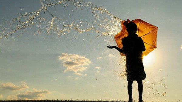 Дождь солнце человек