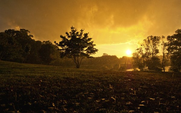 Обои дождь и солнце