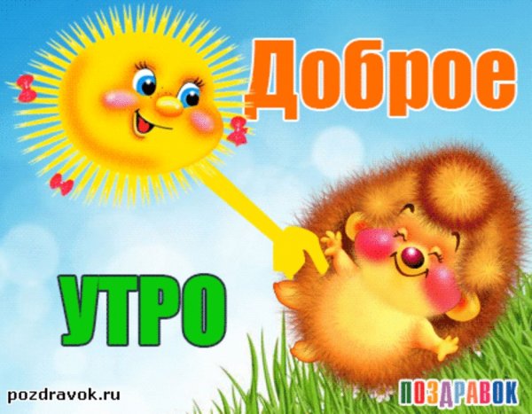 Доброе утро картинки прикольные