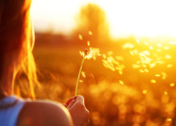 Яркое солнце