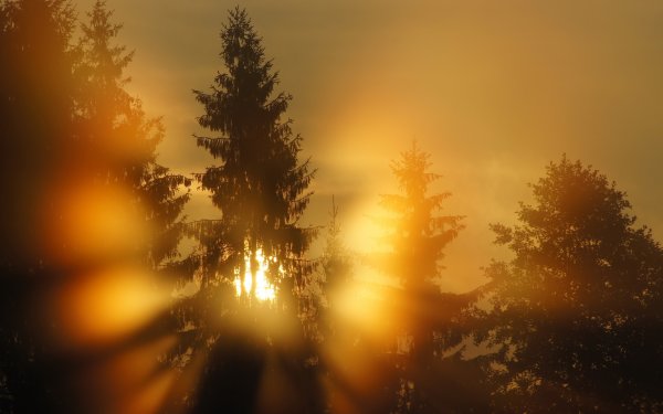 Свет солнца