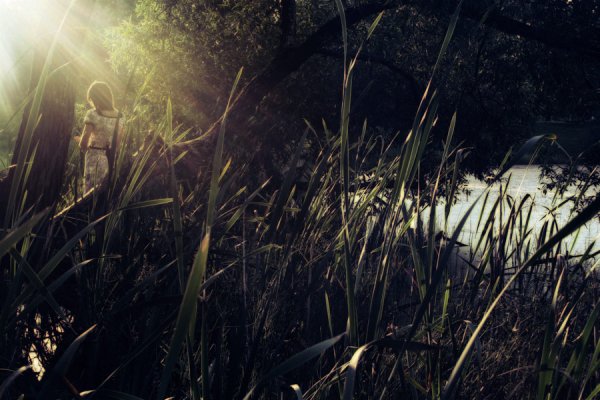 Тьмы скрыла пелена