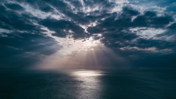 Трубадур мультфильм Бременские