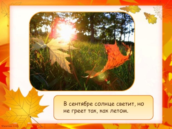 Солнце светит но не греет