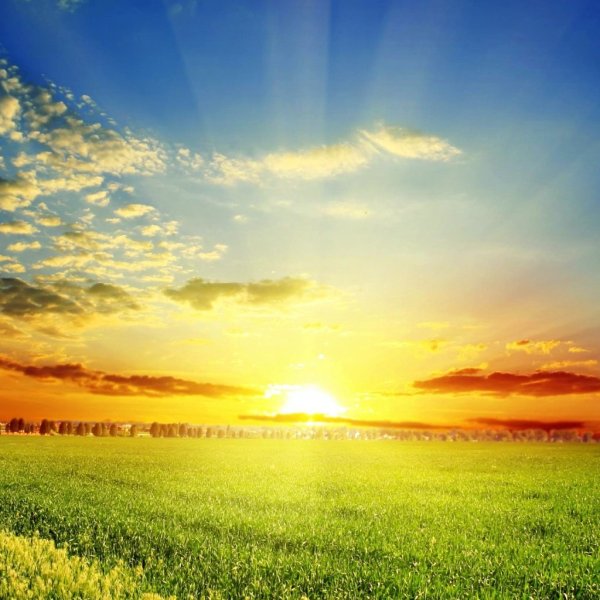 Красивое солнце