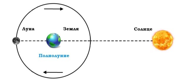 Расположение Луны относительно земли и солнца