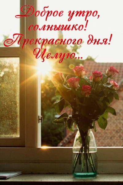 Доброе утро солнце в окно