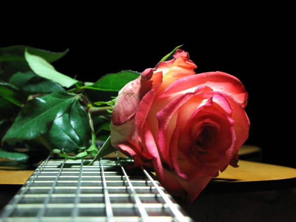 Открытки розы для тебя