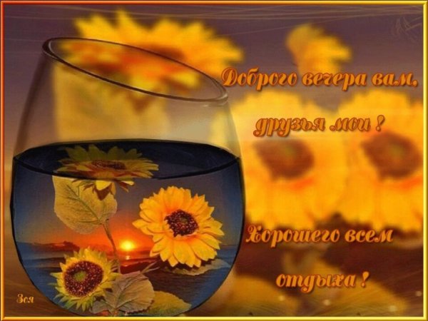 Счастливого дня и вечера