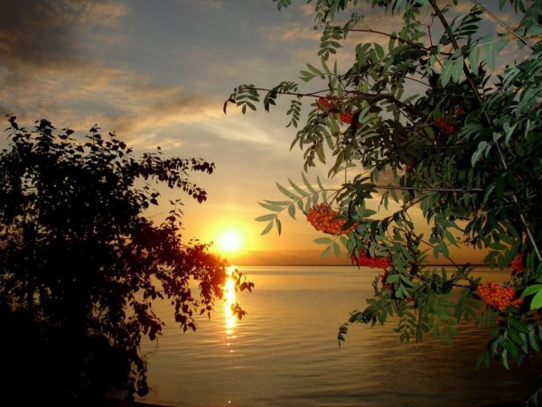 Тихого спокойного вечера