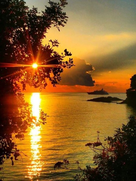 Природа закат