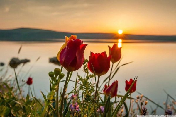 Летний закат