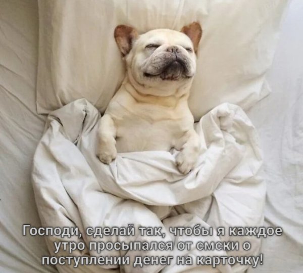 Проснулись доброе утро