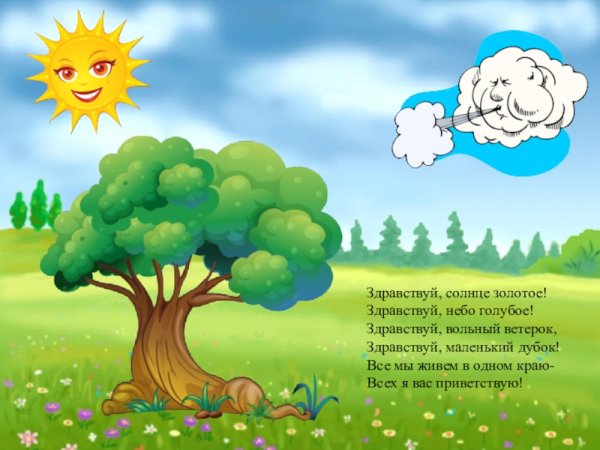 Здравствуй солнце