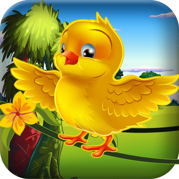 Птицы на закате