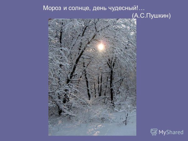 Пушкина Мороз и солнце день чудесный