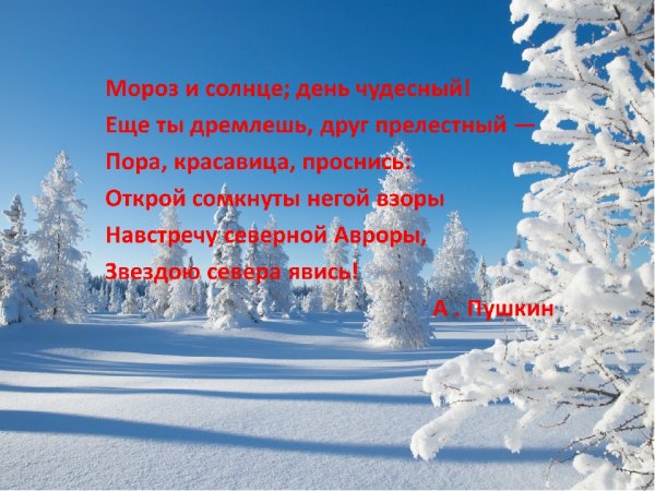 Зимнее утро Мороз и солнце день чудесный