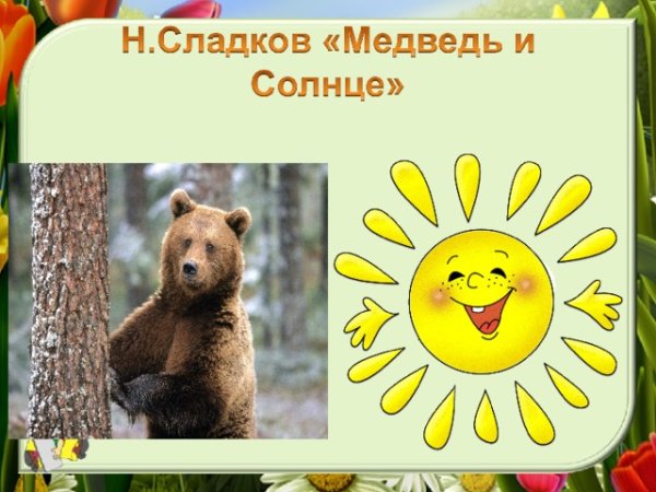 Медведь и солнце Сладков