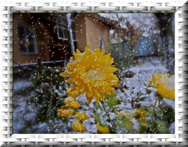 Доброе дождливое и Снежное утро