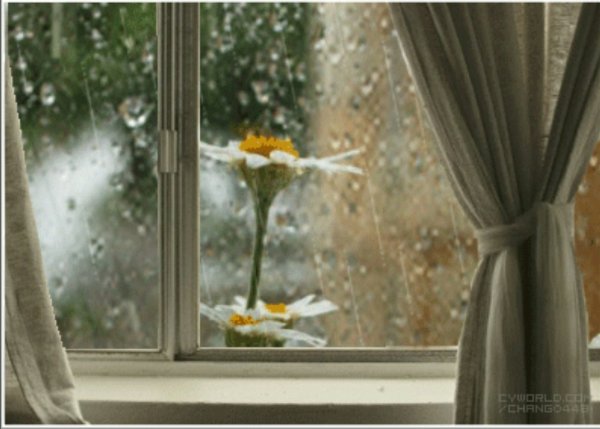 Дождь в окно стучится