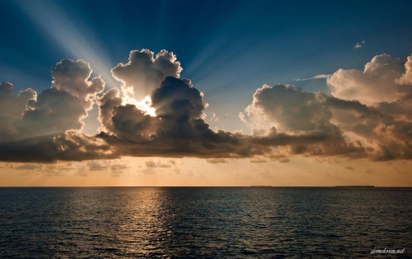 Все неважно