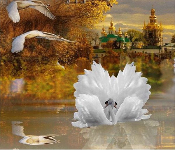 Лебеди и храм