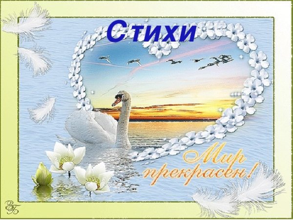 Любовь и лебеди