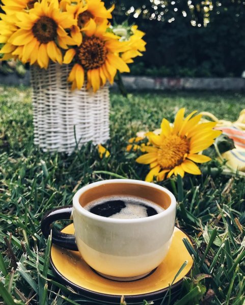 Кофе солнце