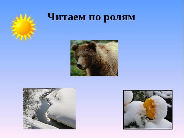 Медведь и солнце