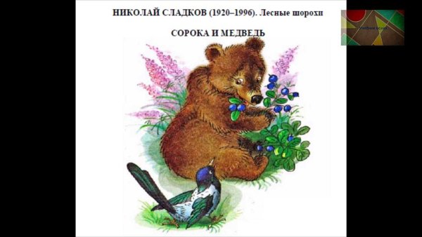 Рассказ медведь и солнце Сладков