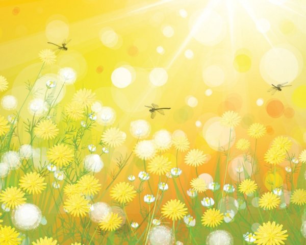 Солнце на прозрачном фоне