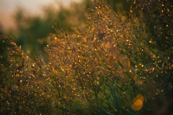 Солнце после дождя