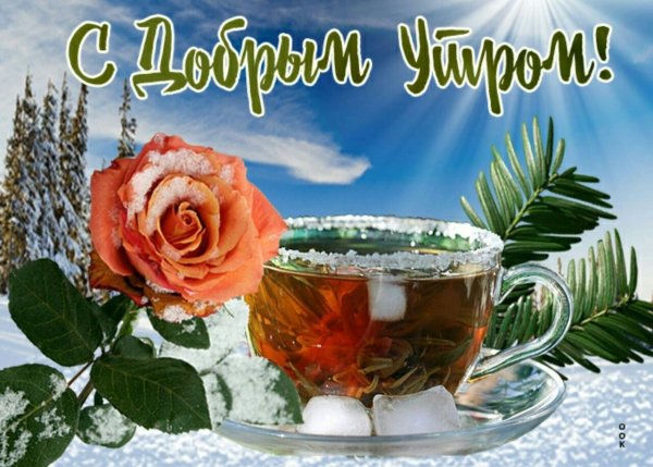 Мороз и солнце день чудесный прикольные