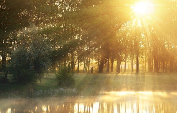 Природа лучи солнца