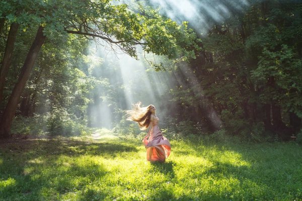 Трава роса солнце