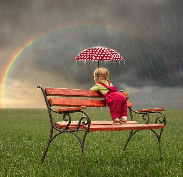 Солнечный ливень