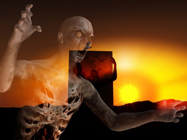 Plants vs Zombies Heroes герои